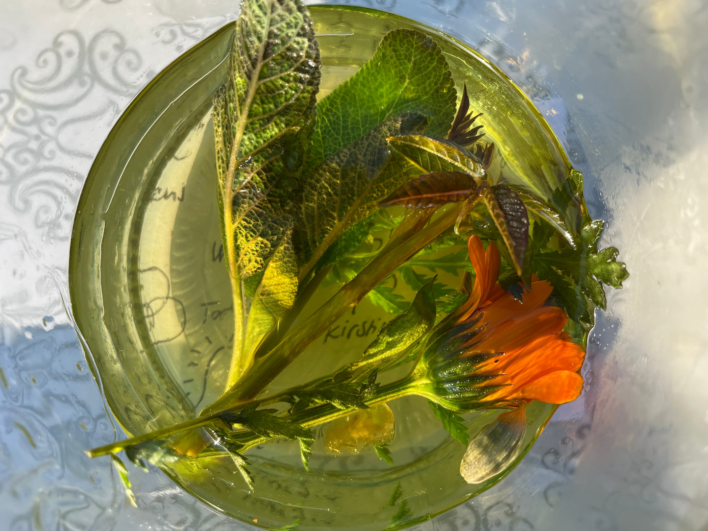 Energiespray: Eintauchen in den Kreislauf der Würde (6. Priester-Energie)