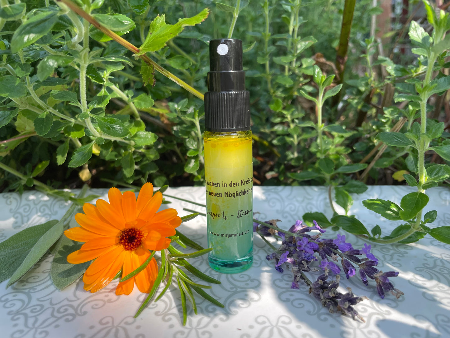 Energiespray: Eintauchen in den Kreislauf der neuen Möglichkeiten (4. Gelehrten-Energie)