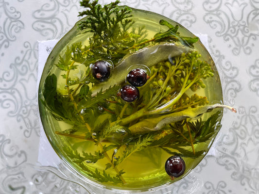 Energiespray: Energiespray: Nährkraft – innere Stärke für Wachstum und Sichtbarkeit